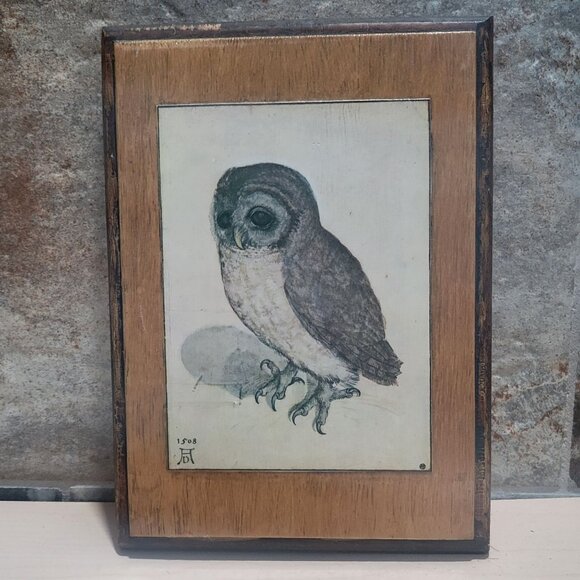 Vintage Framed Print The Little Owl Albrecht Durer - Picture 1 of 10